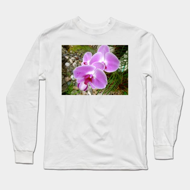 Lavender Orchid Long Sleeve T-Shirt by jennyleeandjim